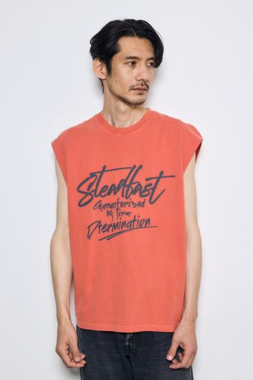 ピグメントノースリ 詳細画像