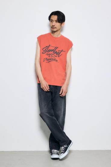 ピグメントノースリ 詳細画像