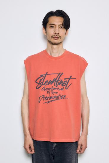 ピグメントノースリ 詳細画像