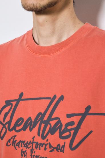 ピグメントノースリ 詳細画像