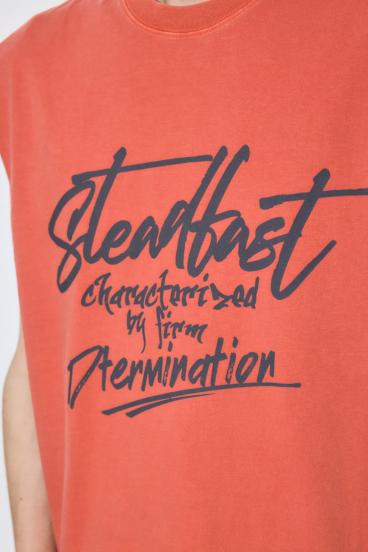 ピグメントノースリ 詳細画像