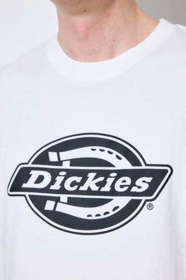 【Dickies&reg;&times;AZUL】ロゴTシャツ 詳細画像