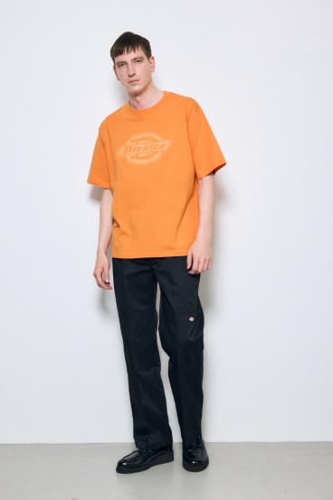 【Dickies&reg;&times;AZUL】ロゴTシャツ 詳細画像