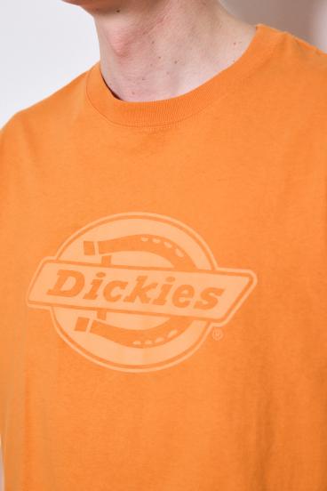 【Dickies&reg;&times;AZUL】ロゴTシャツ 詳細画像