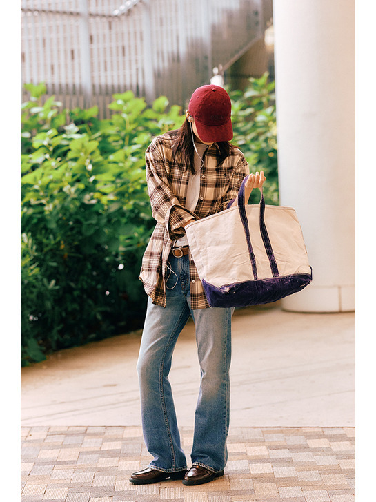 POLO BCS Collaboration item #03