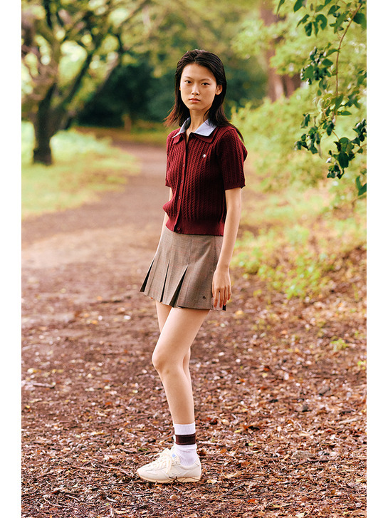 POLO BCS Collaboration item #01