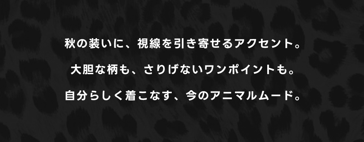 秋の装いに、視線を引き寄せるアクセント。大胆な柄も、さりげないワンポイントも。自分らしく着こなす、今のアニマルムード。